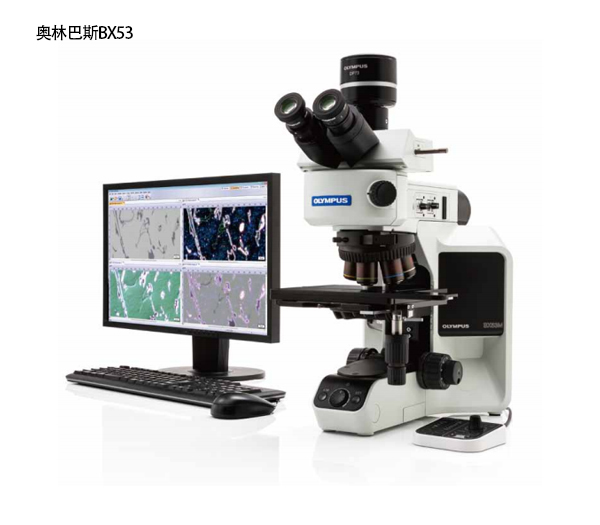 Metallographic microscope